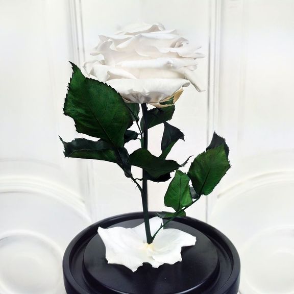 Роза белая в колбе с ароматом (Premium)