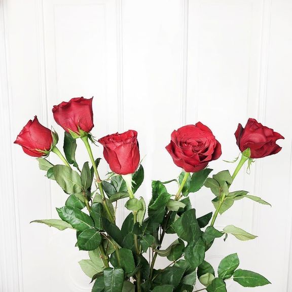Букет 5 красных роз высотой 110см