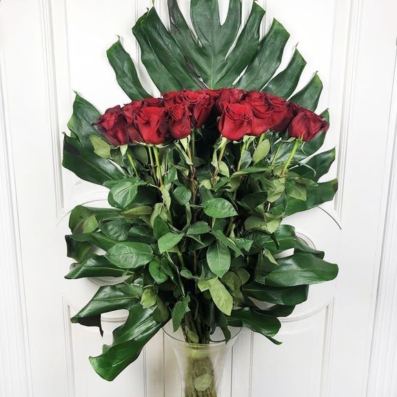 Букет 25 красных роз высотой 100см с гигантской монстерой
