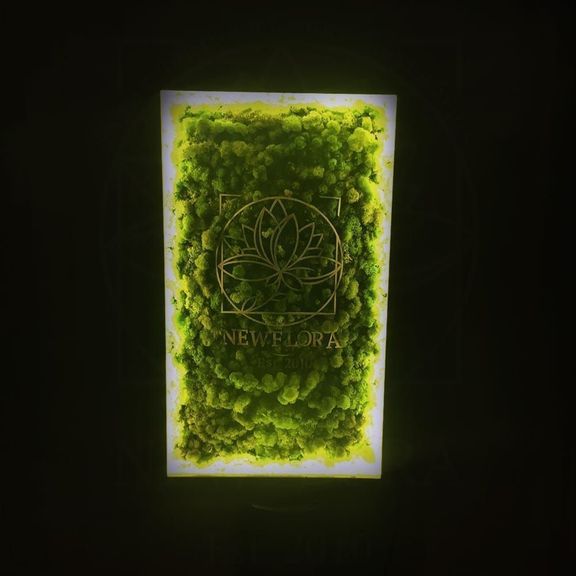 Картина из стабилизированного мха в дубовой раме с логотипом и подсветкой  60×100см
