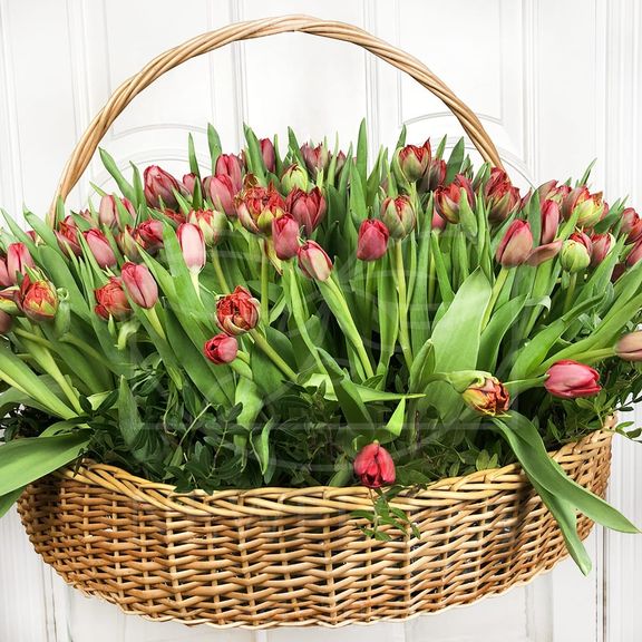 Огромная корзина цветов 201 тюльпан 75×75см