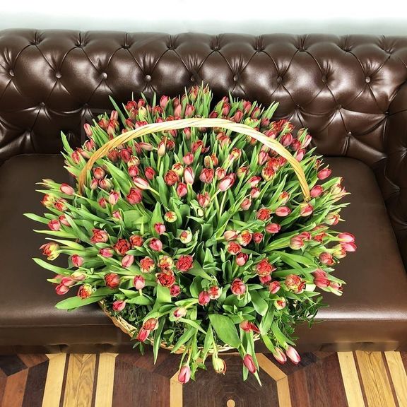 Огромная корзина цветов 201 тюльпан 75×75см