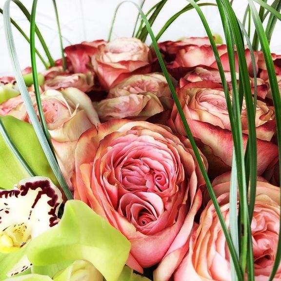 Букет 35 пионовидных роз с зелеными орхидеями