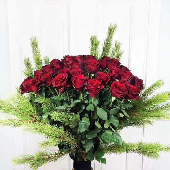 Букет 51 красная роза высотой 100см с ветками сосны