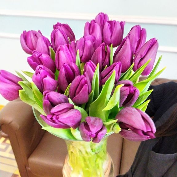 Тюльпан фиолетовый 40-50см (поштучно)