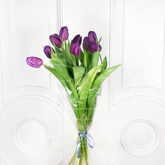 Тюльпан фиолетовый 40-50см (поштучно)