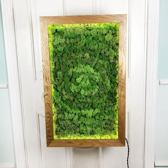 Картина из стабилизированного мха в дубовой раме с подсветкой 60×100см