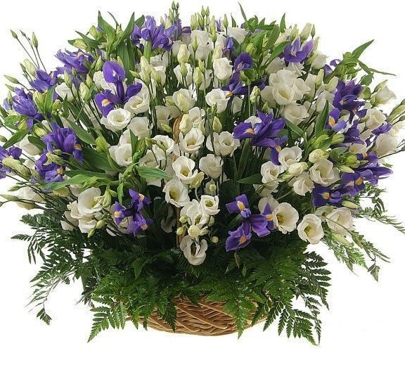 Корзина цветов 101 ирис и белый лизиантус (эустома)