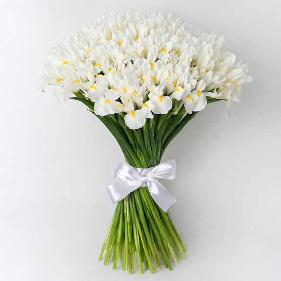 Букет 51 белый ирис