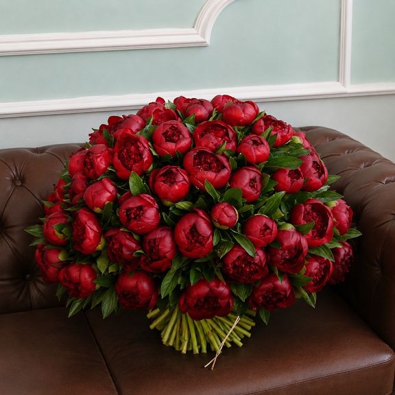 Букет 51 бордовый пион (Red Charm)