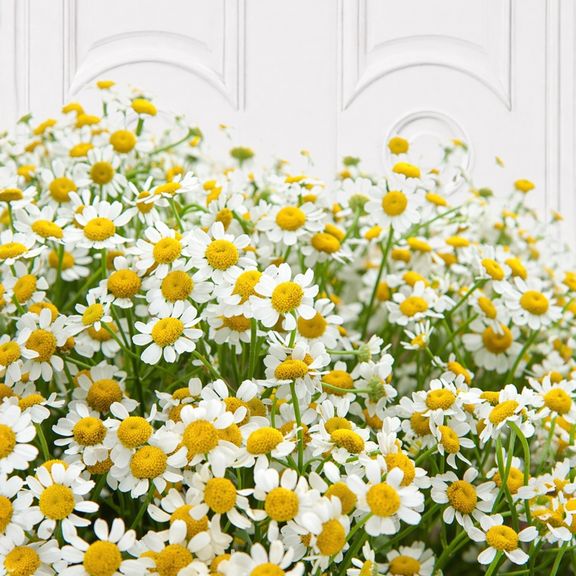 Букет 15 кустовых ромашек «матрикарий» в крафт бумаге