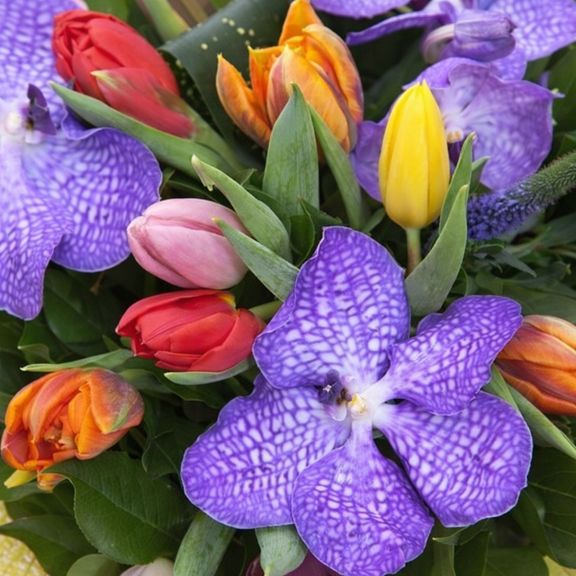 Букет 25 тюльпанов с орхидеями ванда