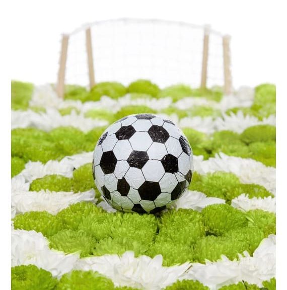 Футбольное поле из живых цветов 50×30см