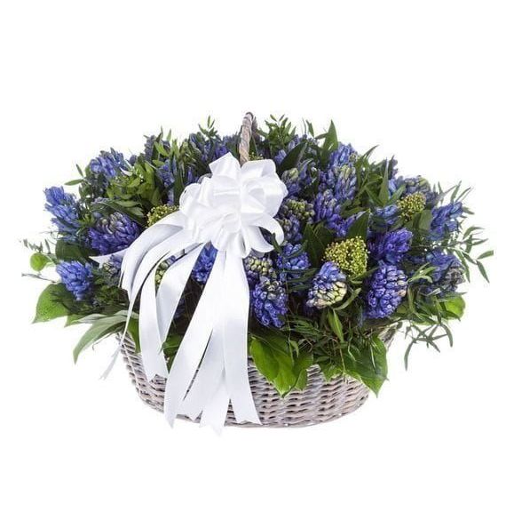 Корзина цветов 51 синий гиацинт с фисташкой и скиммия
