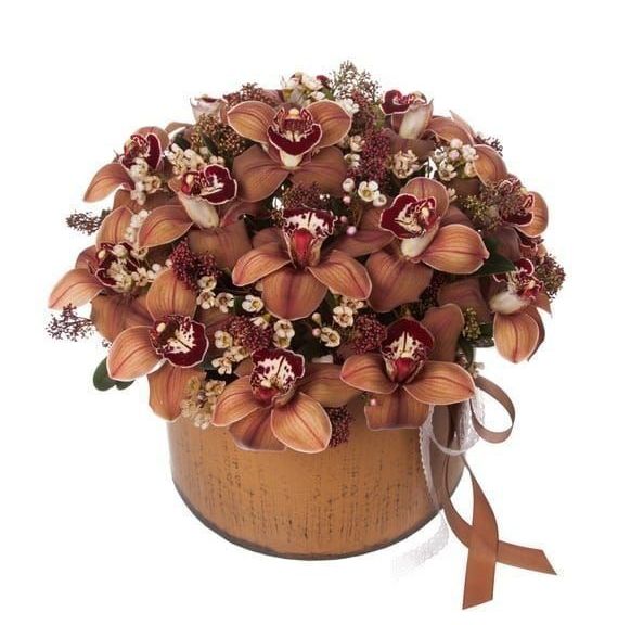 Шляпная коробка с коричневыми орхидеями (Premium)