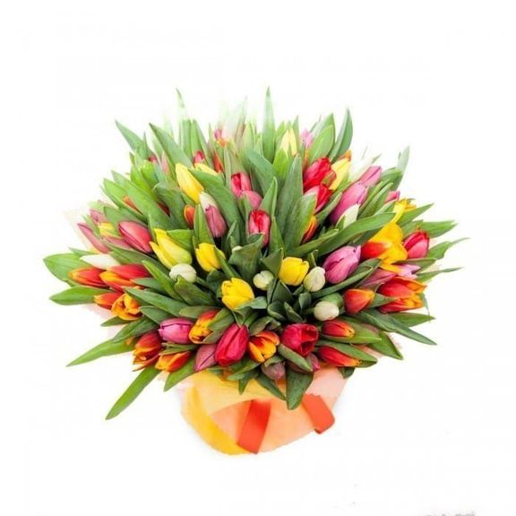 Букет 101 разноцветный тюльпан