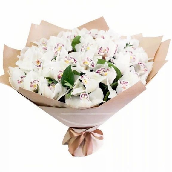 Букет 35 белых орхидей (Premium) с зеленью