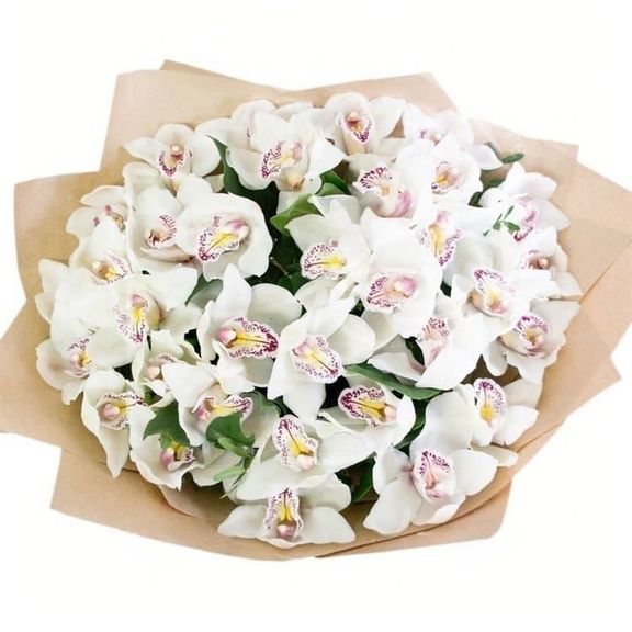 Букет 35 белых орхидей (Premium) с зеленью