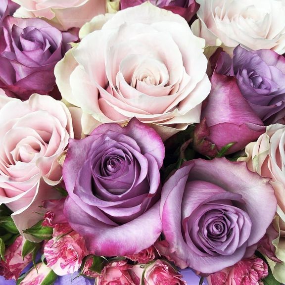Фиолетовая шляпная коробка с кустовыми и классическими розами 30×40 см