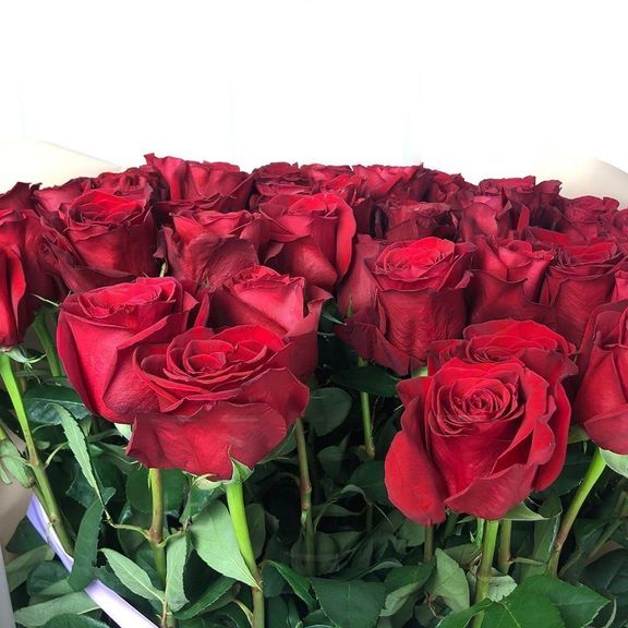 Букет 51 красная роза высотой 150см с оформлением