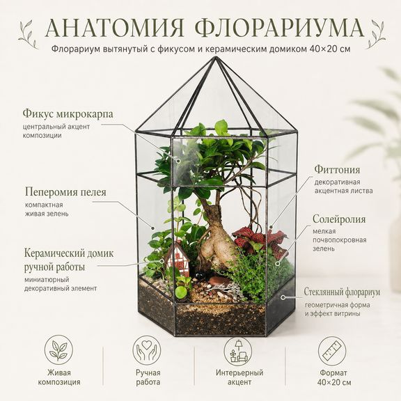 Флорариум вытянутый с фикусом и керамическим домиком 40×20 см