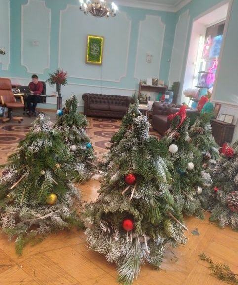 Настольная ёлочка из лапника пихты (25-35см)