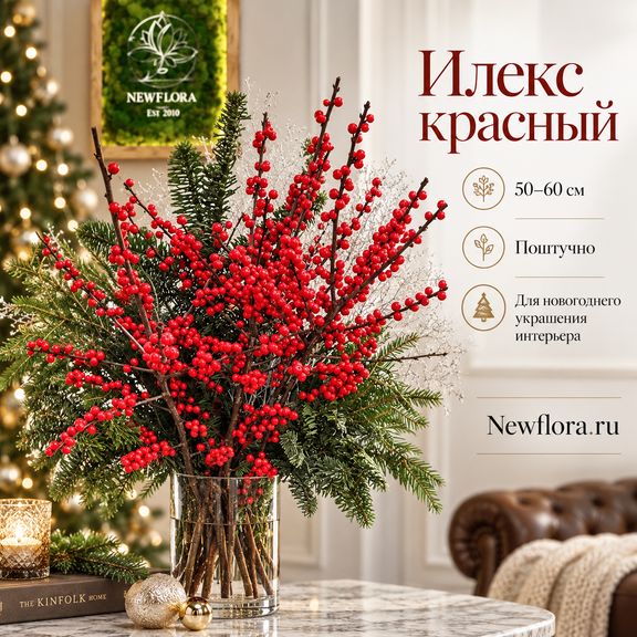 Илекс красный 50-60 см (поштучно)