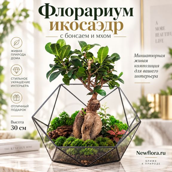 Флорариум икосаэдр с бонсаем и мхом 30 см