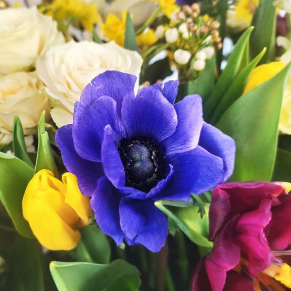 Корзина цветов с нарциссами, анемонами и тюльпанами