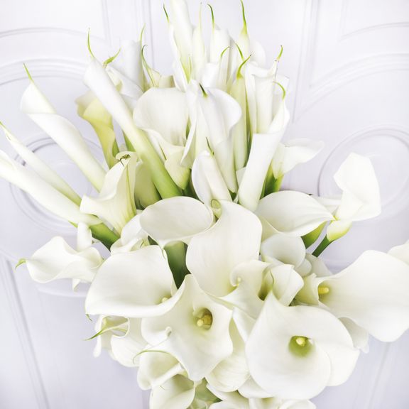 Букет 101 белая калла (60-80см)