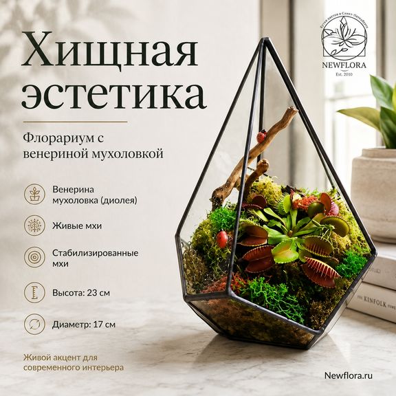 Цветы хищники во флорариуме #5