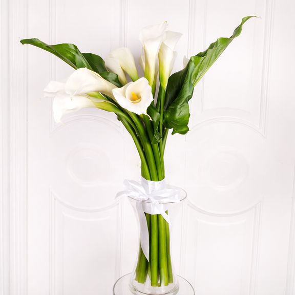 Букет 11 белых калл 90см с листьями (заказчик GalinaRogaleva.com)