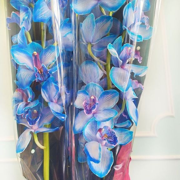 Голубая орхидея цимбидиум на ветке (80см)