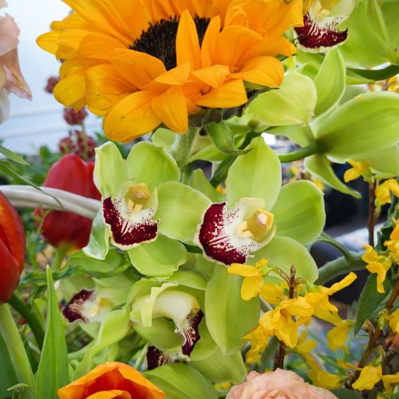 Корзина цветов с протеями, орхидеями, амарантом и форзицией