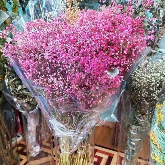 Гипсофила ярко-розовая сухоцвет