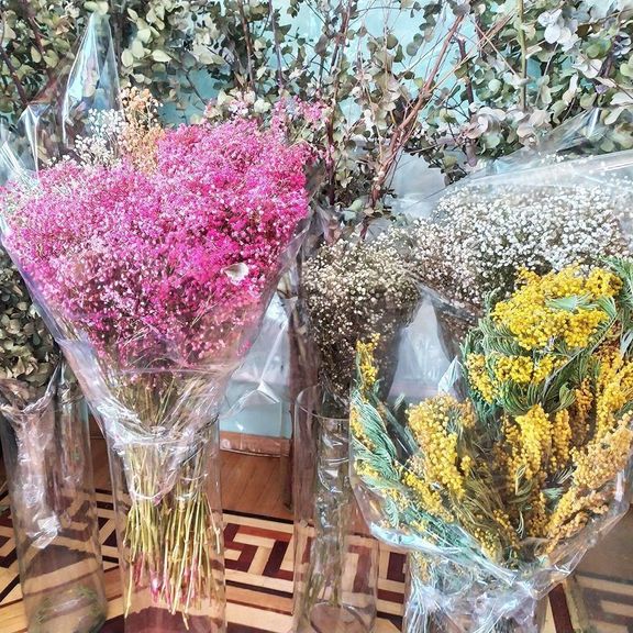 Гипсофила ярко-розовая сухоцвет