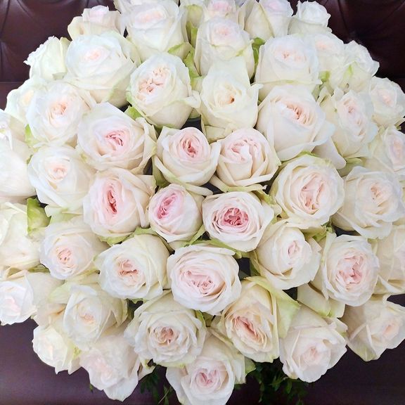 Корзина 49 пионовидная ароматная роза Вайт Охара (White Ohara)
