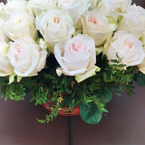 Корзина 49 пионовидная ароматная роза Вайт Охара (White Ohara)