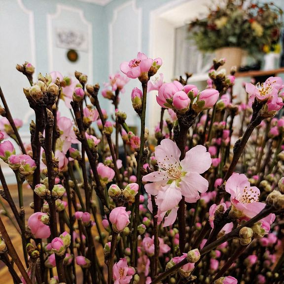 Ветки персика розовые 60-80см (поштучно)
