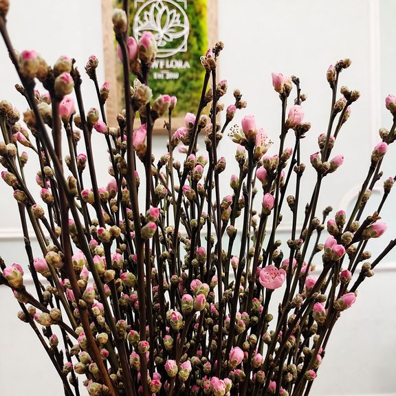 Ветки персика розовые 60-80см (поштучно)
