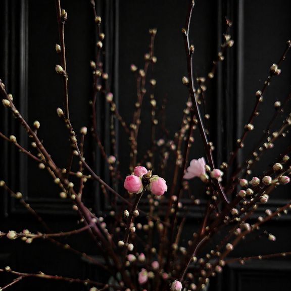 Ветки персика розовые 60-80см (поштучно)