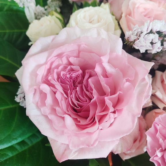 Букет роз с гвоздикой и статицей