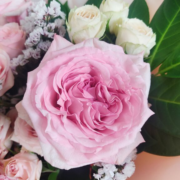 Букет роз с гвоздикой и статицей