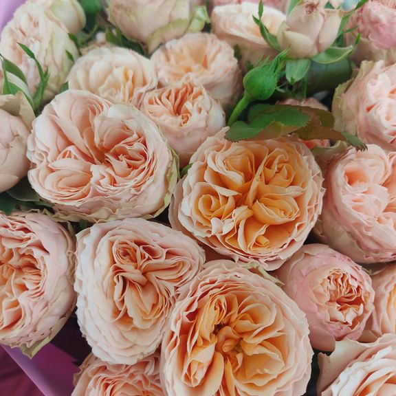 Букет 19 пионовидных кустовых роз