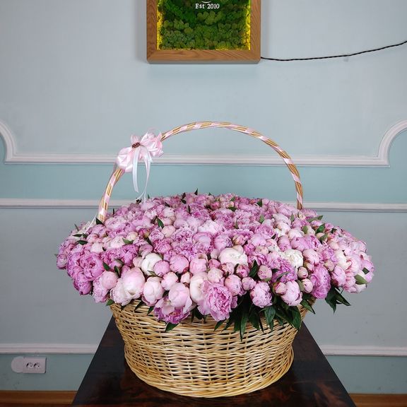 Корзина из 501 розового пиона