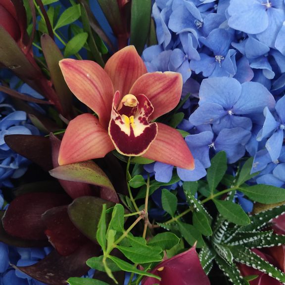 Букет гортензий с орхидеей, тюльпанами и атуриумом