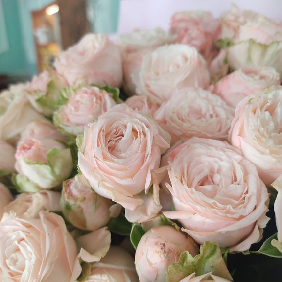 Букет 25 кустовых пионовидных роз