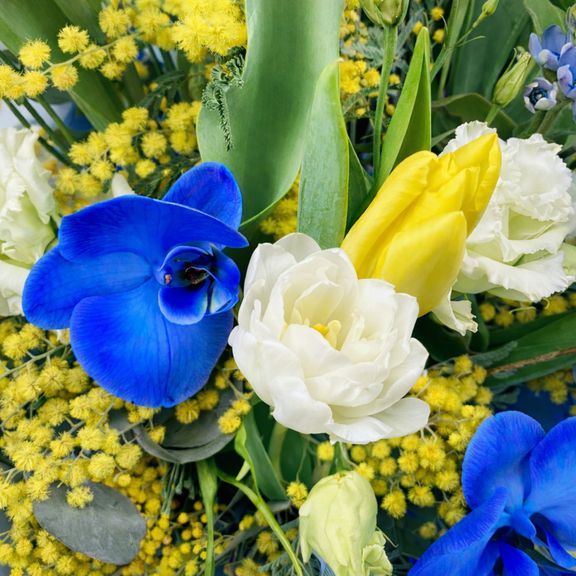 Букет из тюльпанов с мимозой, лизиантусом, оксипеталумом, краспедией и орхидеей