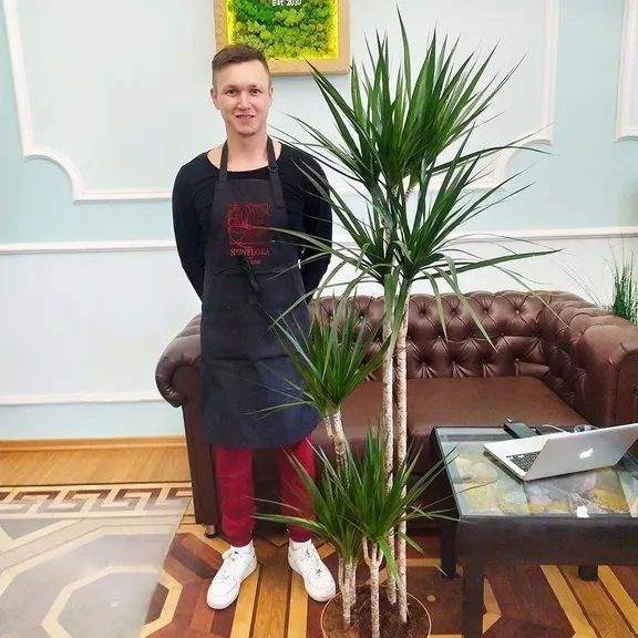 Пересадка растения в магазине