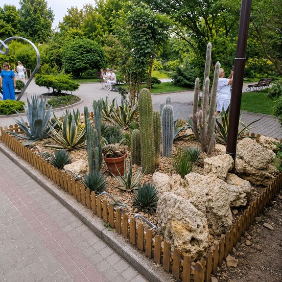 Кактус Трихоцереус паскана 160 см (для Абрау-Дюрсо)